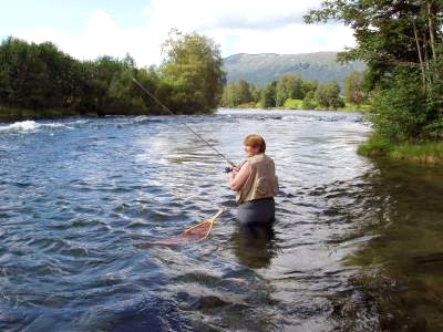 Kan norske stangbyggere konkurrere med proffen?