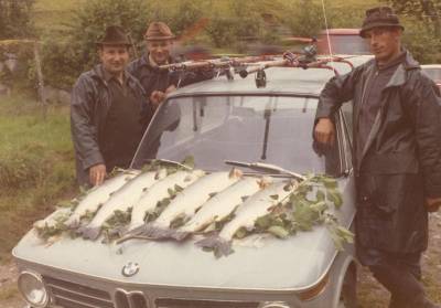 Grådige kraftprodusenter dreper mange lakseelver!