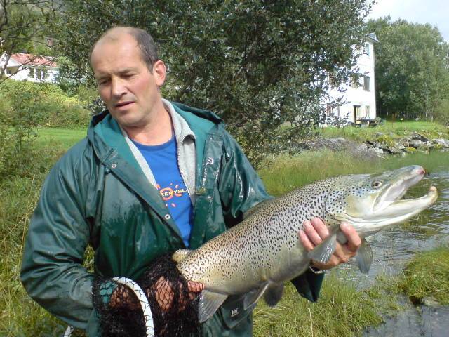 Storørreten i Jølstravatnet er i kjempeform!