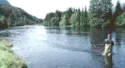 Vil legge hele Jølstra i rør!