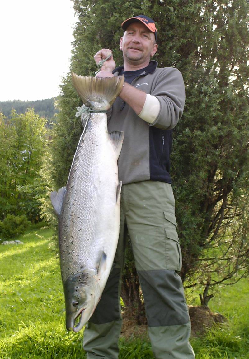 Rekordlaksen i Jostedøla må være av Årøy-stammen!