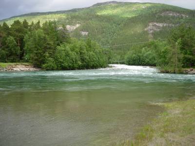 Forlenget sjøørretfiske i Saltdalselva!