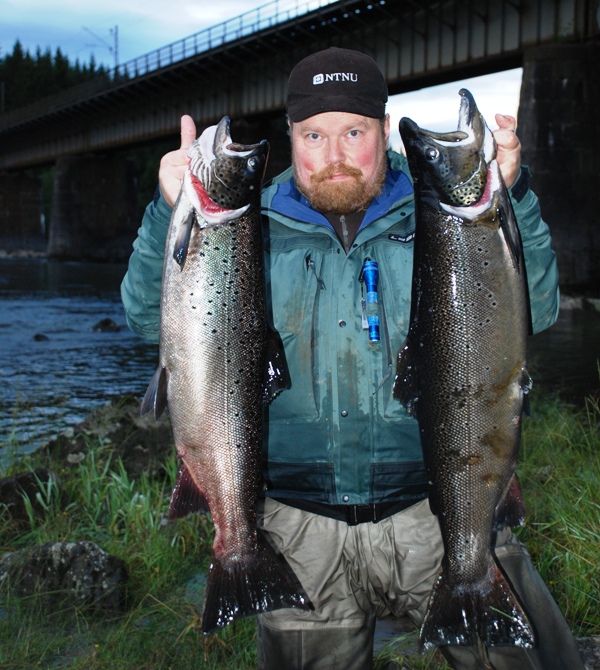 Mattilsynet: - Spis ikke stor kvikksølvholdig ferskvannsfisk