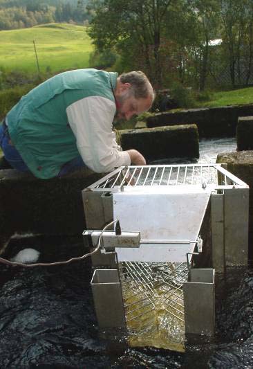 Alle lakselver kan få fisketellere