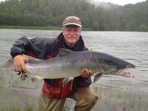 I dag legges det ut 280 laksekort under Målselvfossen!
