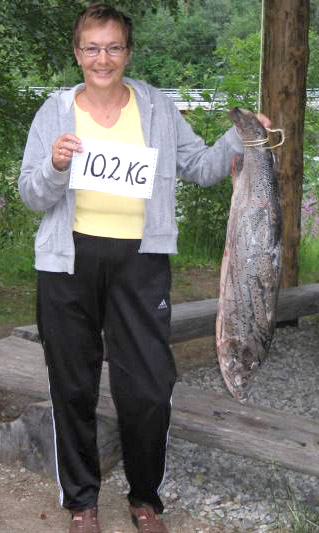 Sjøørret på 10,2 kilo tatt i Beiarelva!