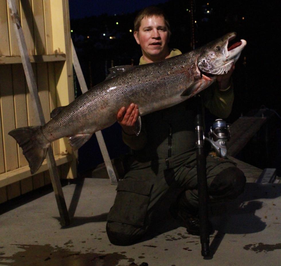 Vinterfiske etter laks og sjøørret i Skienselva!