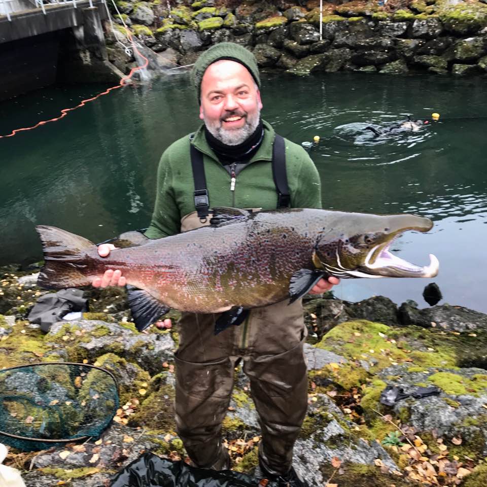 Verdens største atlantiske laks trives i Årøyelva!