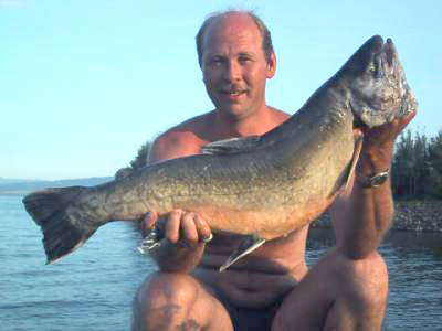 Haglejakt etter gjedde i Randsfjorden!