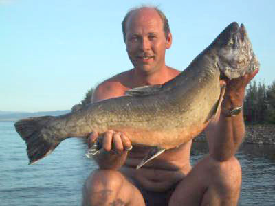 Eventyrlig dorgefiske etter røya i Randsfjorden!