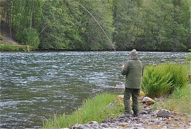 Kong Harald dro tomhendt hjem fra laksefisket i Eira