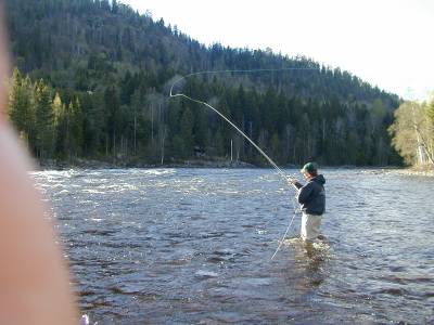 Ny fluefiskeskole i Numedalslågen!