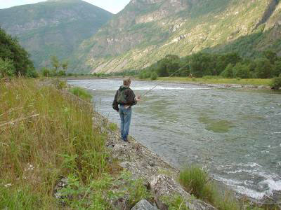 Stopp i laksefisket vestpå neste år!