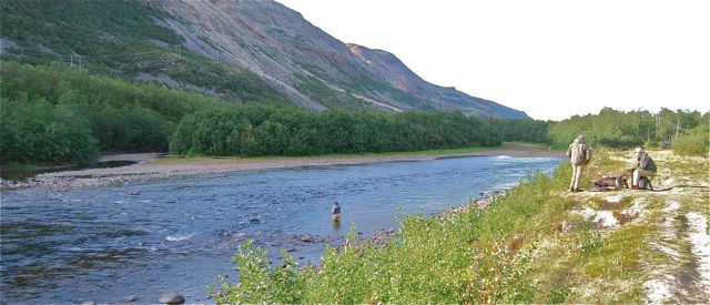 Lakselva fortsatt en av de aller  beste storlakselvene