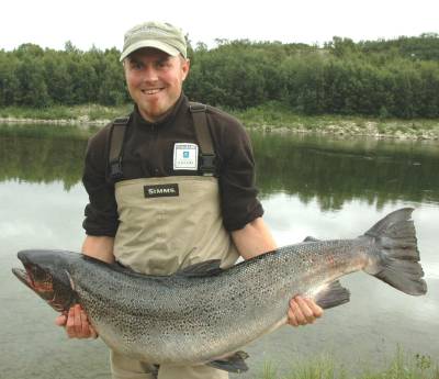 Også laks kan ha rett halefinne og masse prikker!