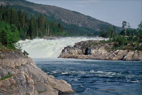 Rotenonbehandling av Vefsna kan bli utsatt minst ett år