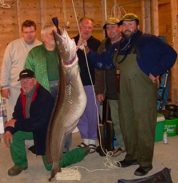 Ny norsk rekord: Lange på 40 kilo tatt utenfor Dolmøya