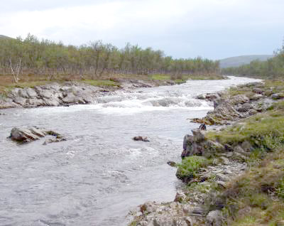 Lakselver stenges uten varsel!