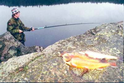 Nå biter røya i Oslomarka!