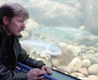 Sjøørretfiske i Lærdalselva som i gamle dager!