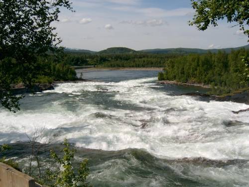 Stabil laksefangst, mer sjøørret i Målselva