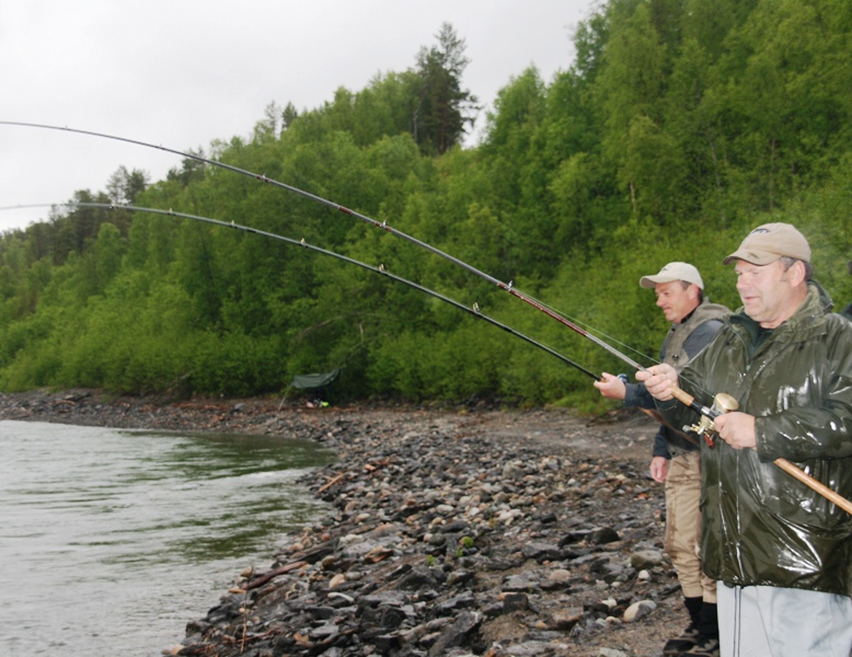 Fiskekompiser kjørte samme storlaks i Målselvfossen!