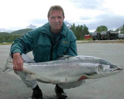 Målselva: 10,4 tonn laks med 5,4 kilo i snitt!