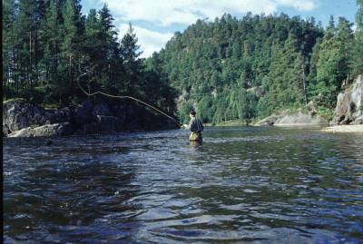 Laks- og sjøørret-fangstene i norske elver 2005