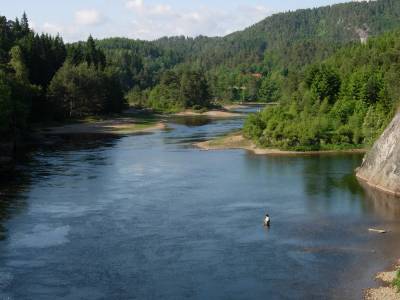 Fiskekort-prisen opp med 50 prosent i Mandalselva!