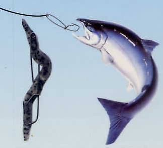 Bli med å teste den nye fiskekroken!