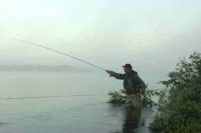 Fluestanga til 10 000 bare for kasteeksperter?