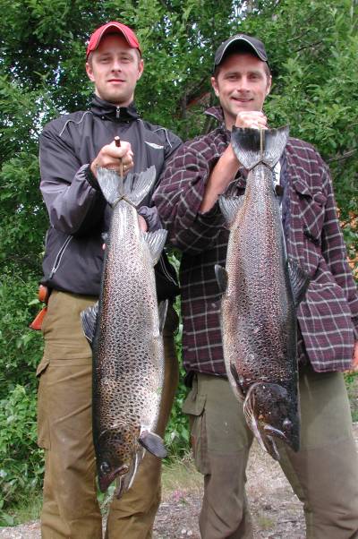 Fiskebrødre fanget storørret-søstre i Mistra!