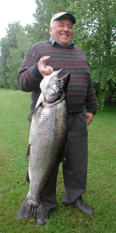 Storørreten i Mjøsa en giftbombe!!