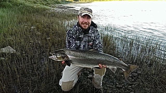 Laksestart med storfangst på Øvre Vipstad i Namsen