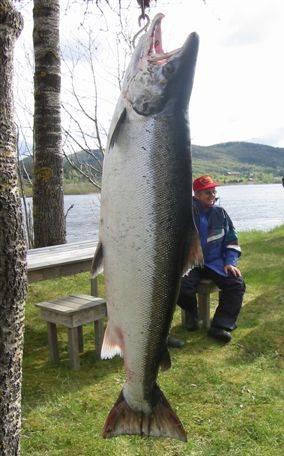 Tenk at Wenche fikk kjøre storlaksen selv!