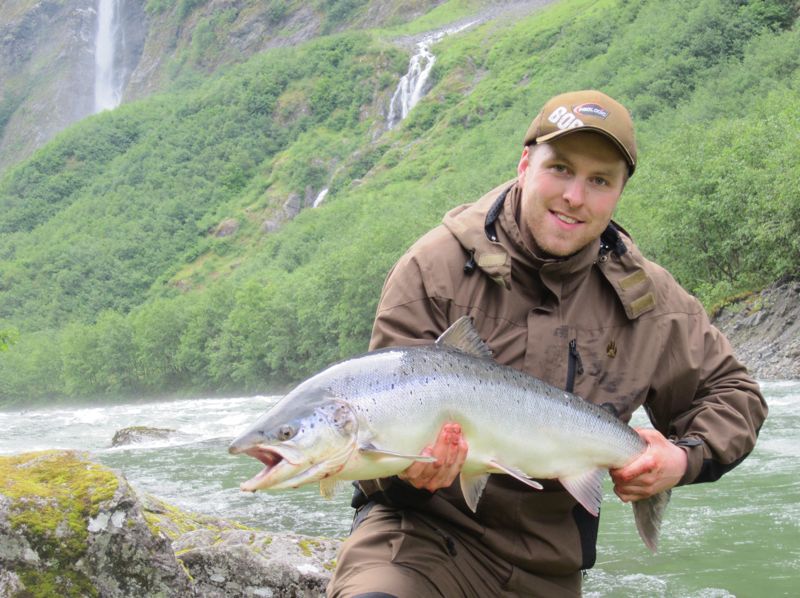 Nesten all laksen i Nærøydalselva gjenutsatt i 2015