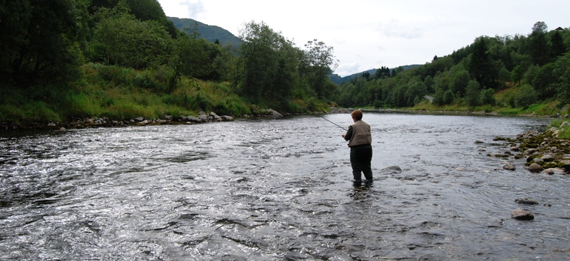Overfiske i sjø og elv på laksbestander i 124 vassdrag !