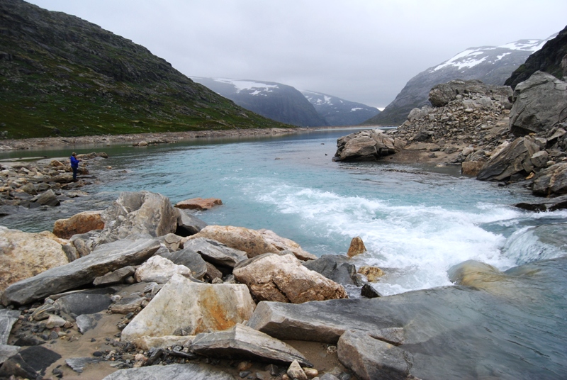 Nå søker storørreten til fjellsjø-osene!