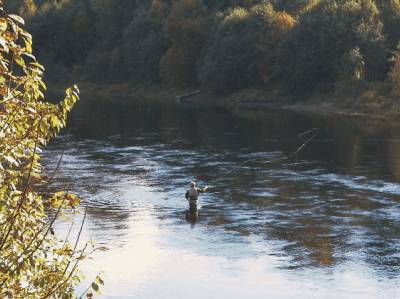 Laks på gang i Numedalslågen!