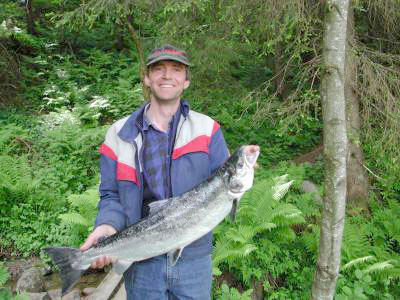 Nå kommer de store laksefangstene!