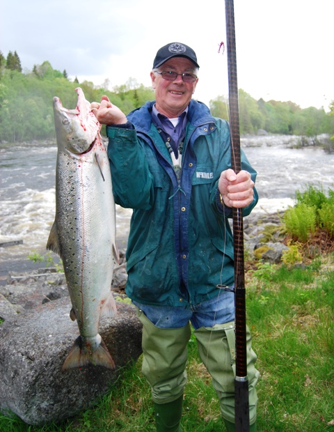 Dronningen blant lakseelvene har storfisk på gang!