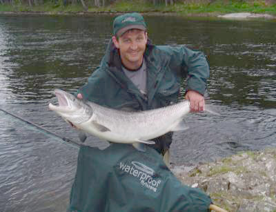 Nå er storlaksen på plass i Numedalslågen!