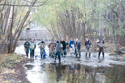 OFA leker seg i Akerselva!