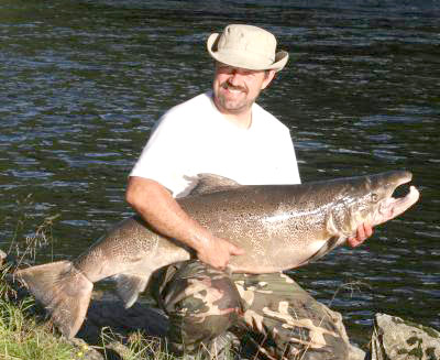 Den femte 20 kilos-laksen er landet!
