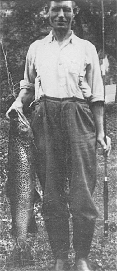 NIVA avslørte rapporten til kraftlagets fiskeribiolog! 