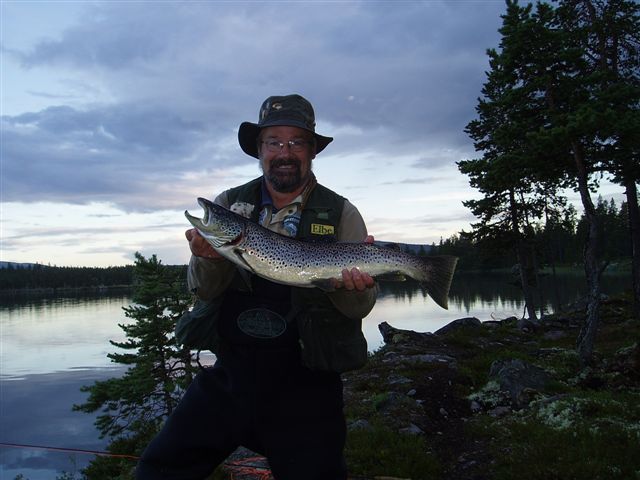 Du må sette ut igjen storfisken  i Femundselva!