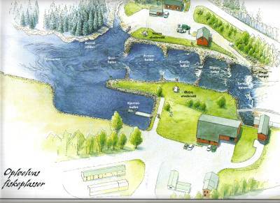 Her kan du fiske laks i hele oktober!