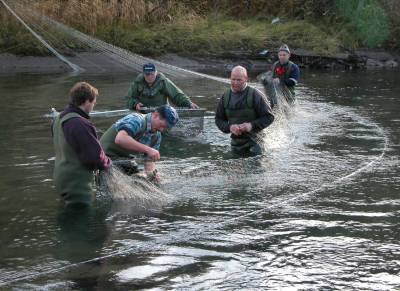 Nå venter vi på smålaksen i Ranaelva og Røssåga!