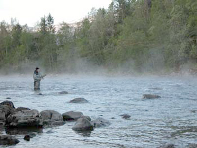 Lokkeflom må følge naturlige flommer!