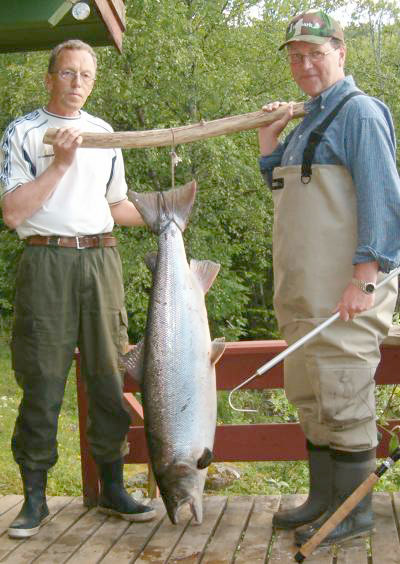 Det finnes ikke smålaks utenfor Trøndelagselvene!